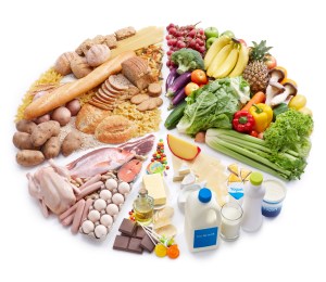 La alimentacion como medio de subsistencia